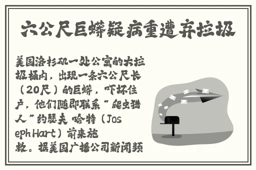 国产69精品久久久久9999A...