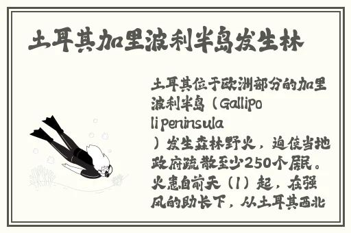 冈本aPP安装